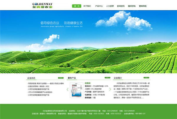 当前国内中小型企业网站的现状